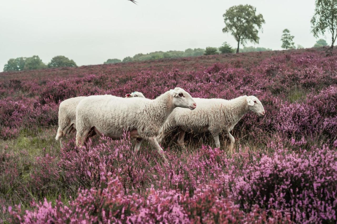 Veluwe Hotel De Beyaerd Hulshorst Екстериор снимка