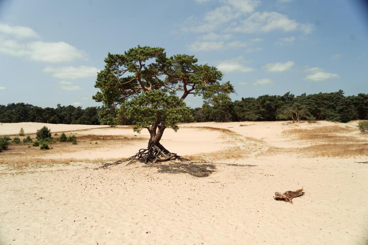 Veluwe Hotel De Beyaerd Hulshorst Екстериор снимка
